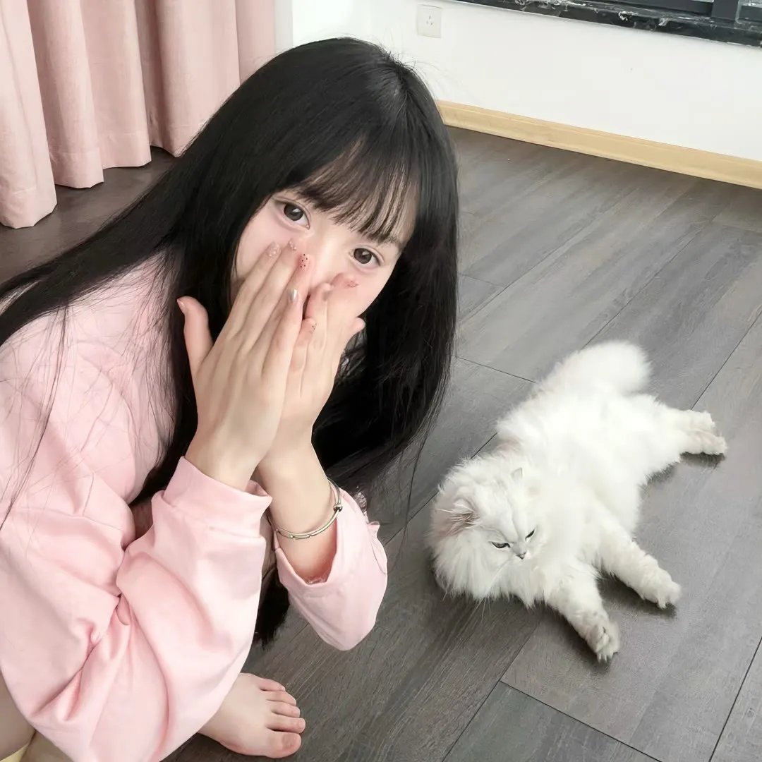 内战圣伯纳犬